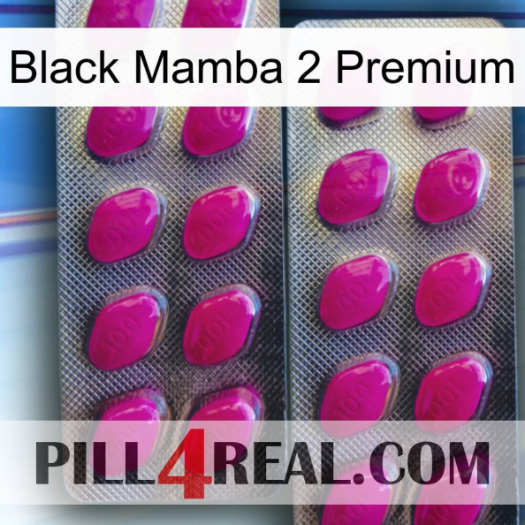 Black Mamba 2 Premium 10.jpg